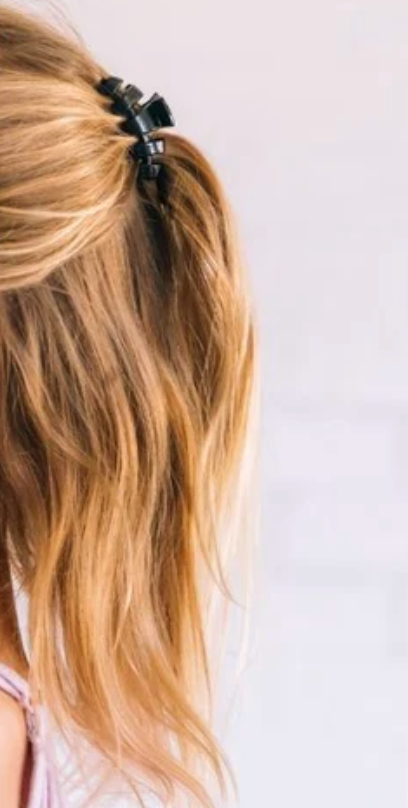 Classic Tortoise Small Hair Clip