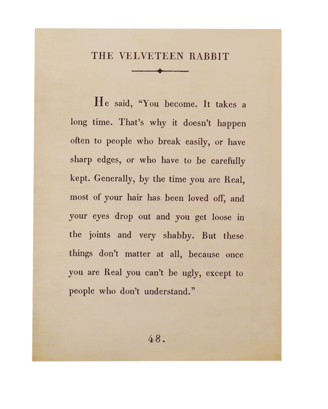 The Velveteen Rabbit Book Collection Art Poster - Cream