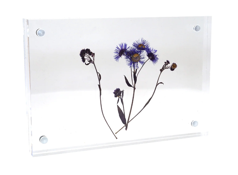 Acrylic Standing Frame