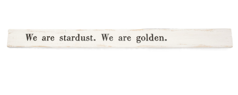 Poetry Sticks - Stardust