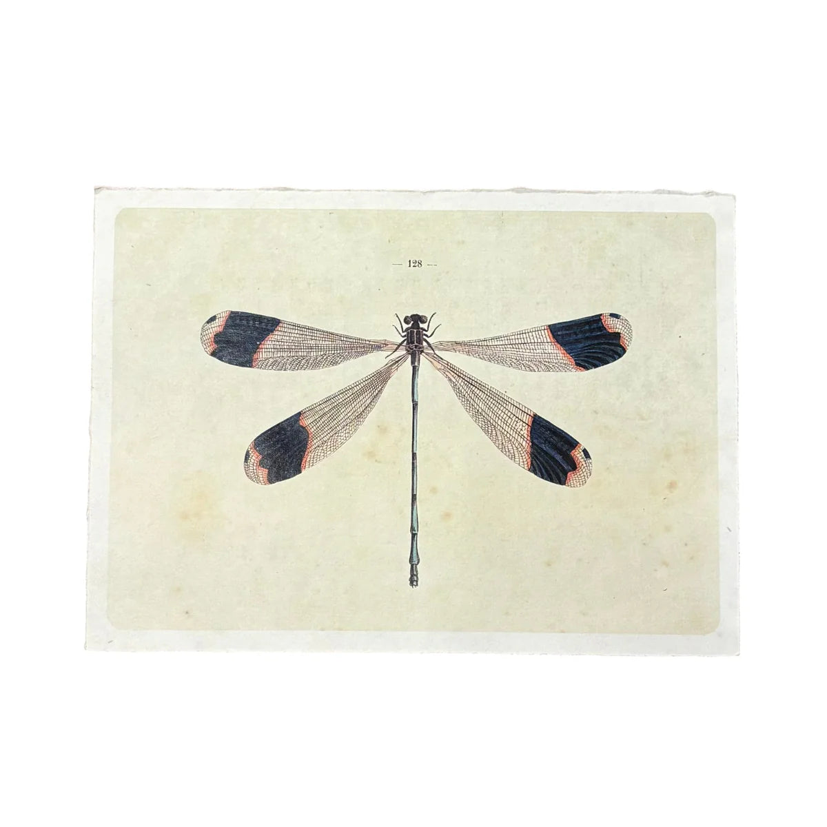 Dragonfly Handmade Art Print