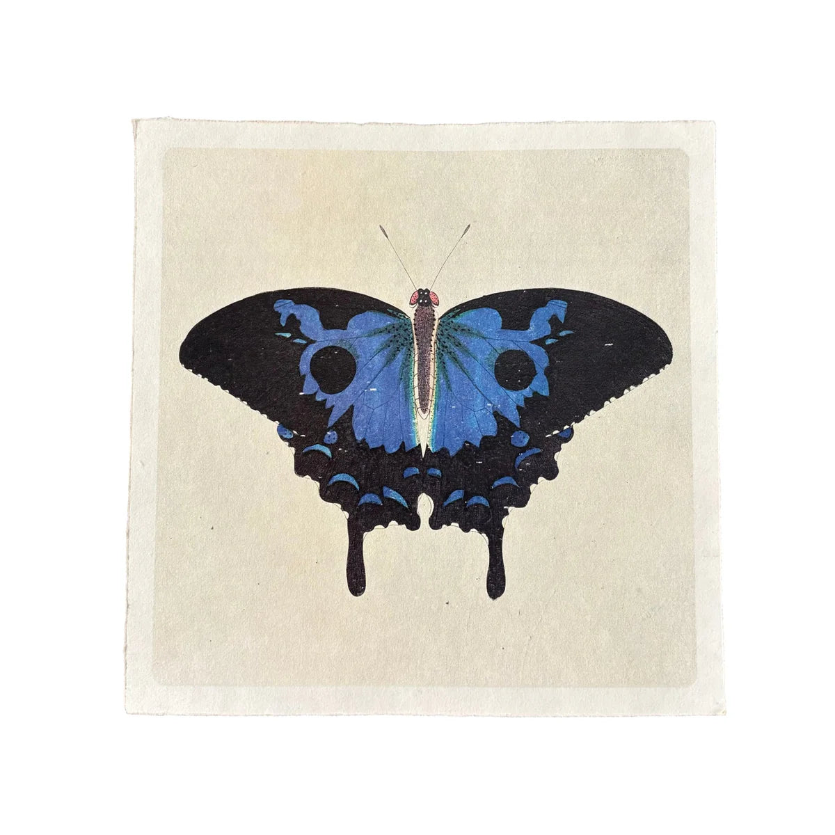 Swallowtail Butterfly Art Print