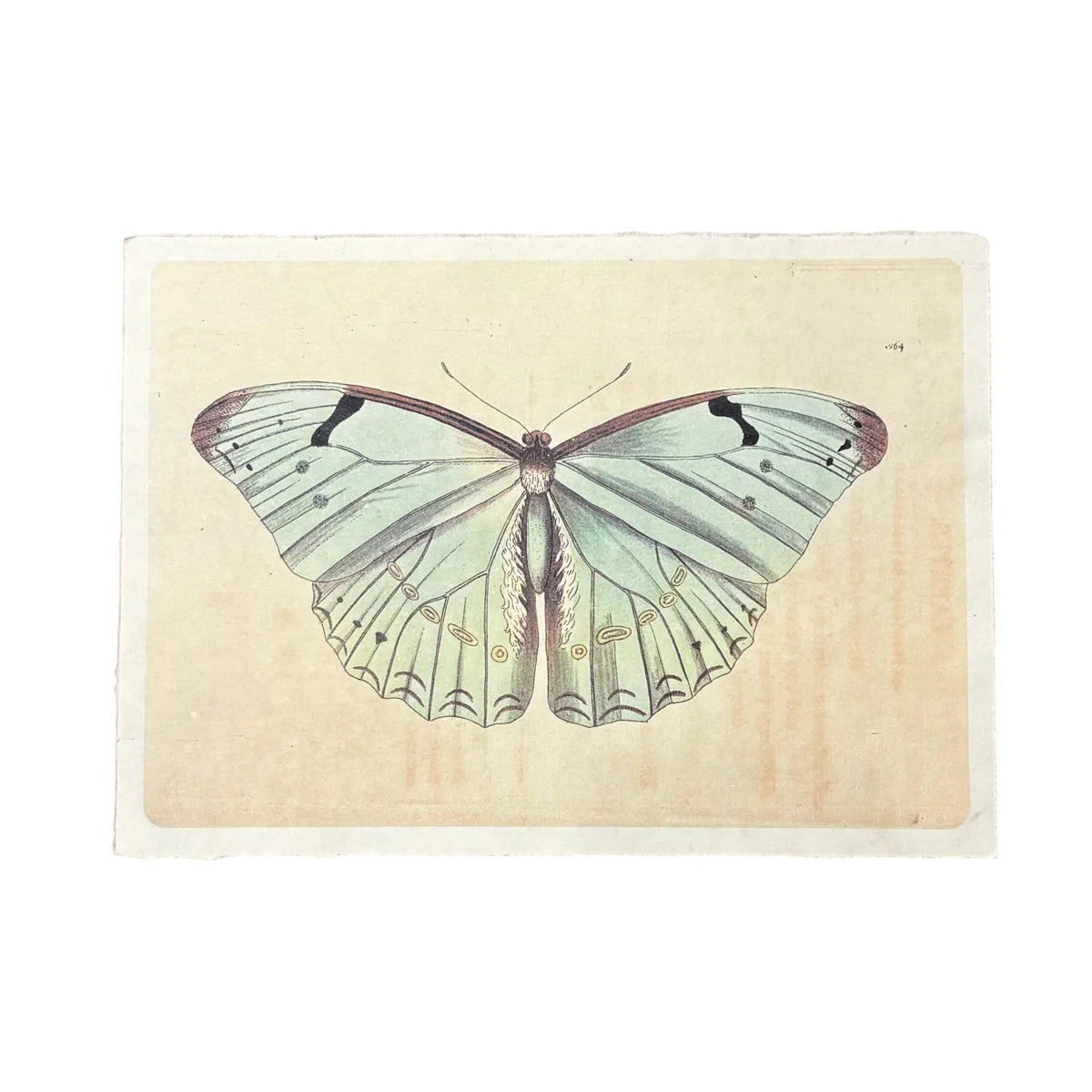 Light Blue Butterfly Handmade Art Print