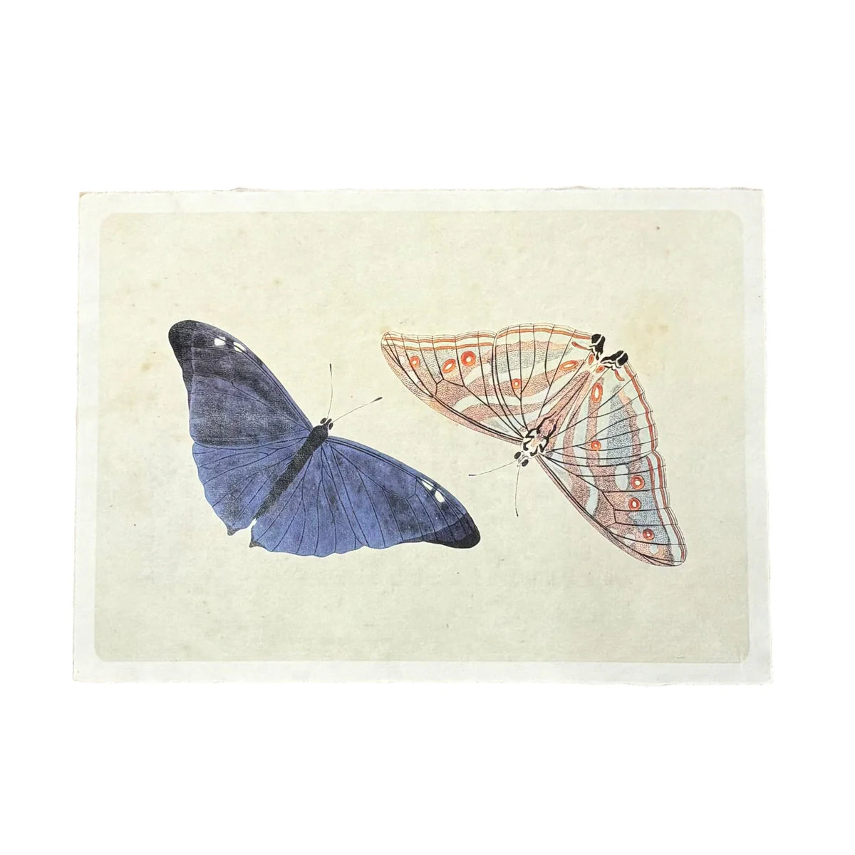 Butterfly Duo Handmade Art Print