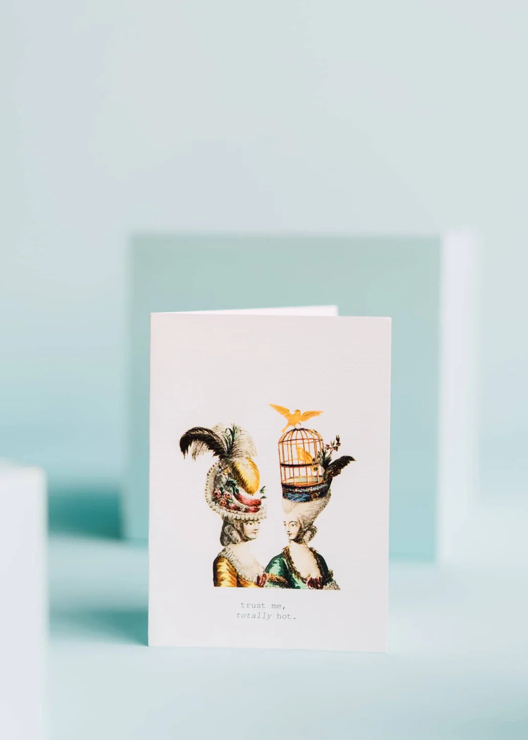 Trust Me, Totally Hot Greeting Card