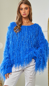 Cookie Monster Sweater