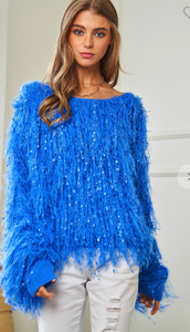 Cookie Monster Sweater