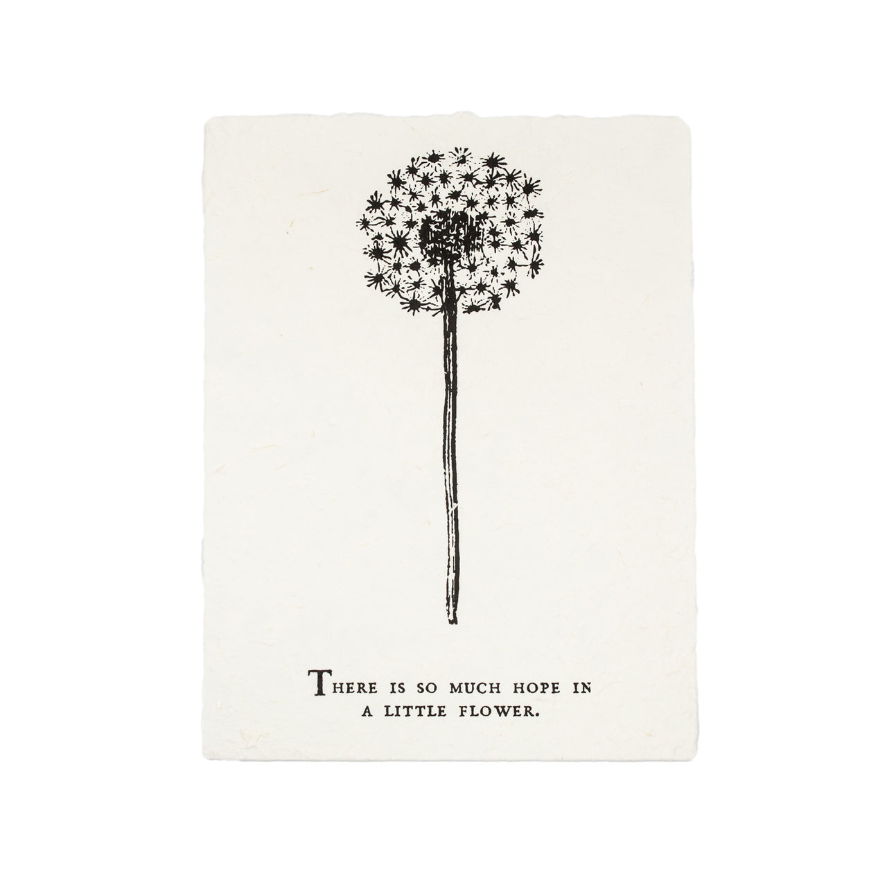 There Is So Much Hope Botanical Print