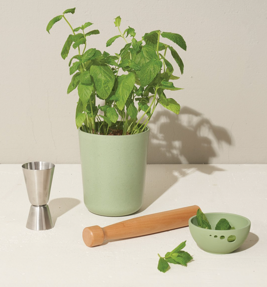 Celebrate Gift Set - Mint
