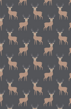 Load image into Gallery viewer, Multiway Bands - Stag Charcoal